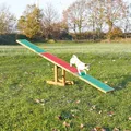 AGILITY Schaukel/Brücke 300x54x34cm max. bis 80kg TRIXIE