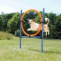 Weiteres Produktbild AGILITY-Sprungkreis