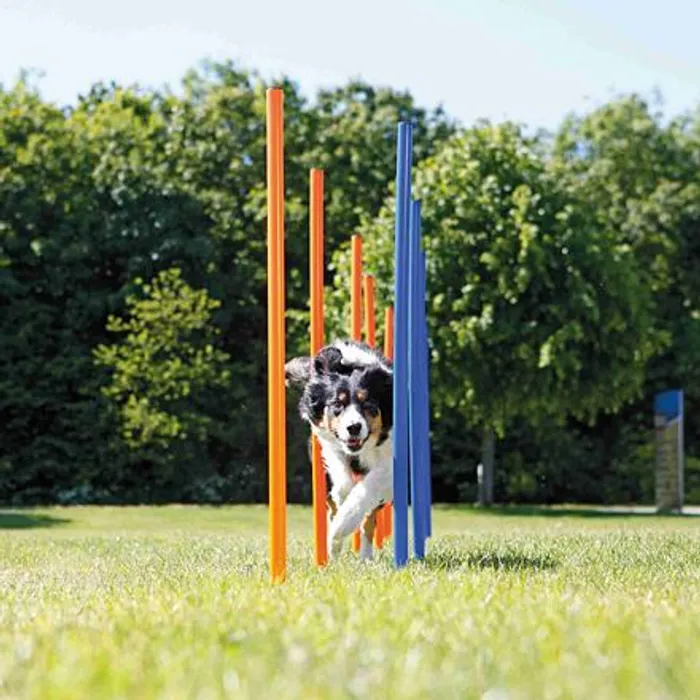 Hauptbild des Produkts AGILITY Slalom, tyče 12ks