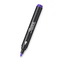 Sharpie Acrylic Marker Bullet Set mit 5 Farben
