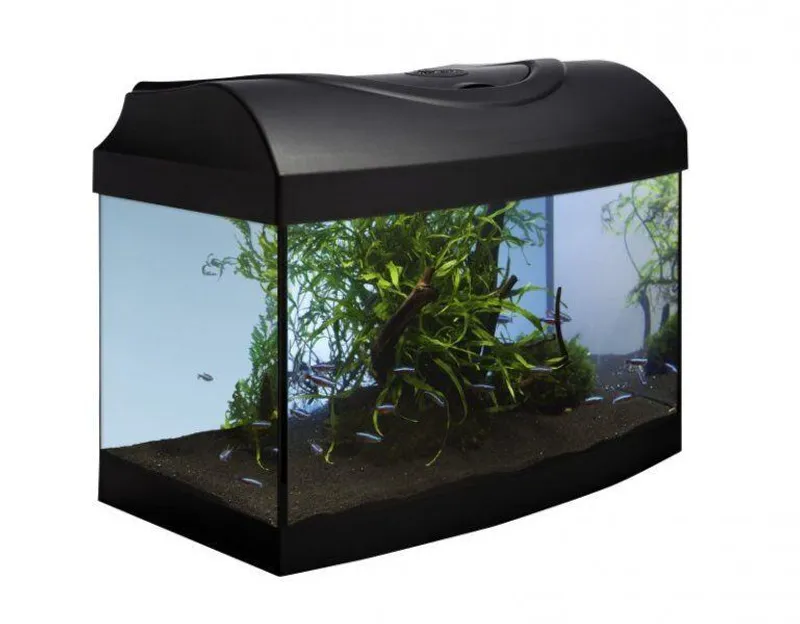 Hauptbild des Produkts Akvarijní set 40 - černý oblý 40x25x25 cm