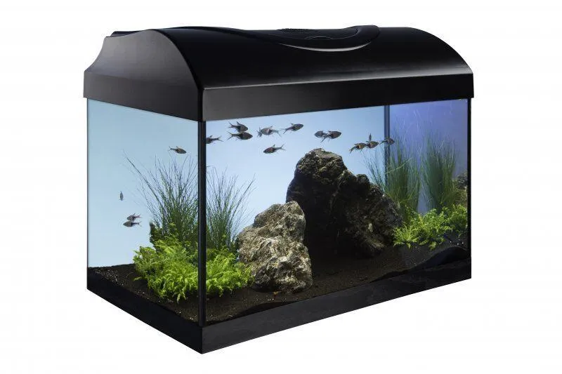 Hauptbild des Produkts Akvarijní set 40 - černý rovný 40x25x25 cm