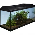 Weiteres Produktbild Aquariumset 80 - schwarz 80x35x40 cm