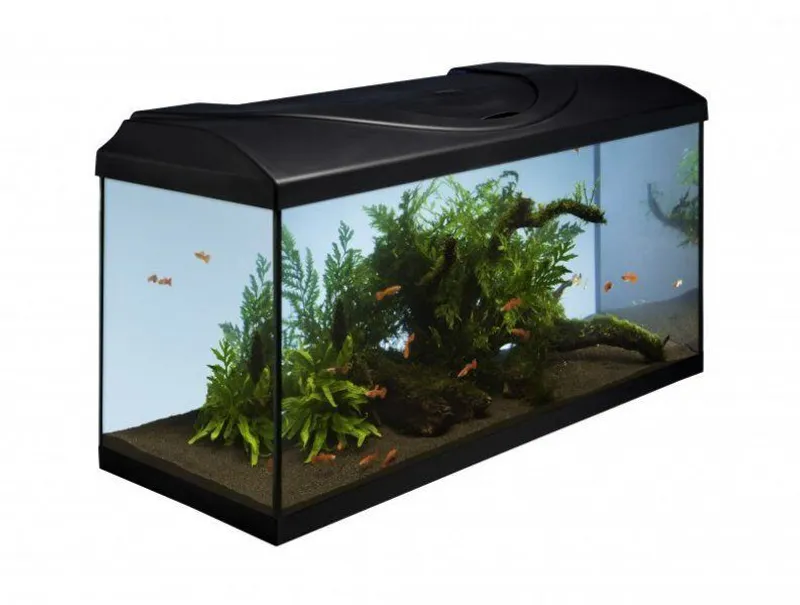 Hauptbild des Produkts Akvarijní set 80 - černá 80x35x40 cm