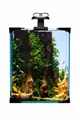 Weiteres Produktbild Aquarium-Set Nano LED 10 20x20x25cm
