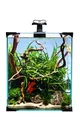 Aquarium-Set Nano LED 20 25x25x30cm