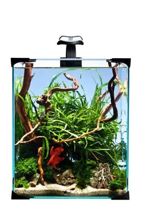 Hauptbild des Produkts Akvarijní set nano LED 20 25x25x30cm