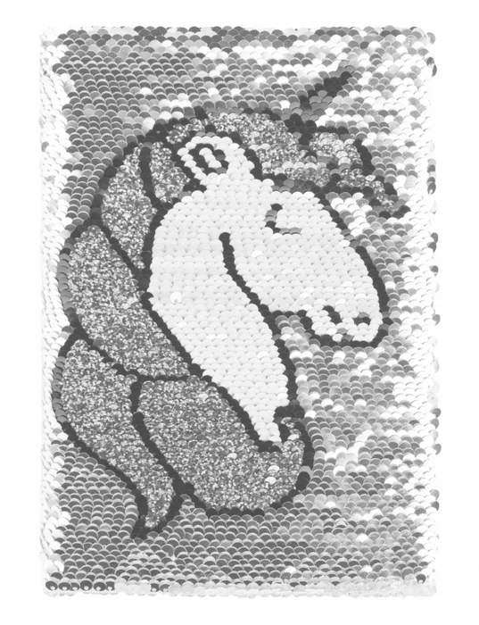 Hauptbild des Produkts BAAGL Notes flitrový Unicorn