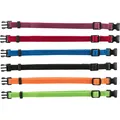 Packung mit Nylon-Erkennungshalsbändern für Welpen M-L 22–35 cm/10 mm, Schwarz, Schwarz, MD, Grün oder Fi