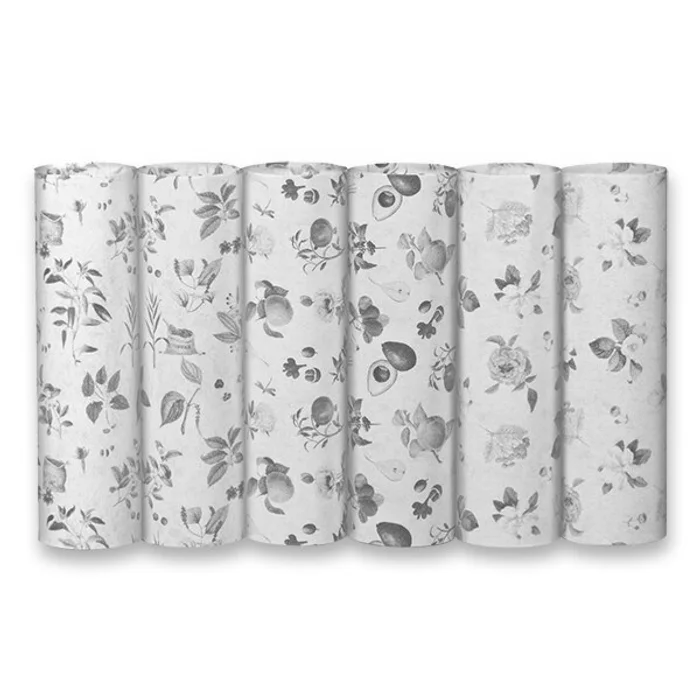 Hauptbild des Produkts Balicí papír Botanica 2 x 0,7 m, mix motivů