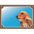 Weiteres Produktbild Farbschild Achtung Hund, Afghanischer Windhund
