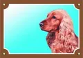 Farbschild Achtung Hund, Englischer Hahn golden