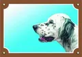 Farbschild Achtung Hund, Englischer Setter weiß