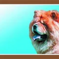 Weiteres Produktbild Farbschild Achtung Hund, Chow Chow