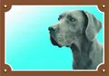 Farbschild Achtung Hund, Dogablau
