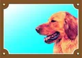 Farbschild Vorsicht vor dem Hund, Hovaward