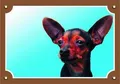 Farbschild Vorsicht vor dem Hund, Rattenfänger
