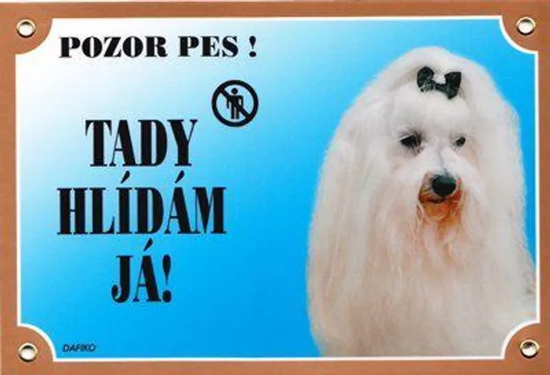 Hauptbild des Produkts Barevná cedulka Pozor pes, Maltézský pinč