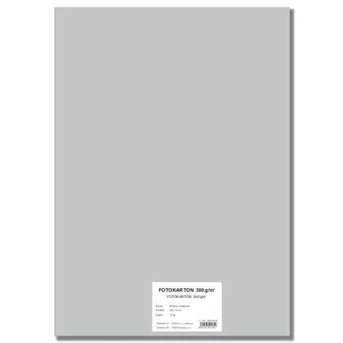 Hauptbild des Produkts Barevný karton EXTRA 300g 50x70cm stříbrný [10 listů]