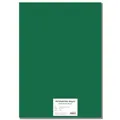 Buntkarton EXTRA 300g A4 dunkelgrün [10 Blatt]