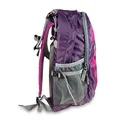 Boll Falcon 20 Boysenberry Rucksack
