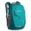 Boll Falcon 20 Rucksack - türkis