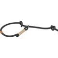 BE NORDIC Leine für Retriever, schwarz/sand L-XL: 1,70 m/ 13 mm