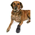 Stiefel-Neopren 2 Stück - TRIXIE XXL: zB. Berner Sennenhund
