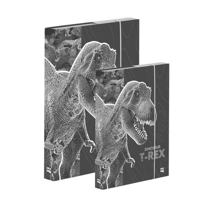 Hauptbild des Produkts Box A4+A5 Premium Dinosaurus