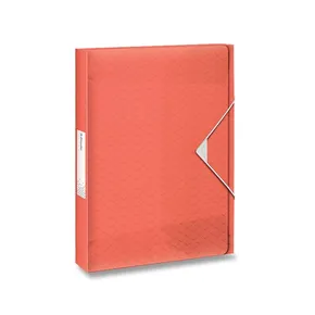Dokumentenbox Esselte Colour'Ice eisiges apricot