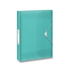 Esselte Colour'Ice Dokumentenbox eisblau
