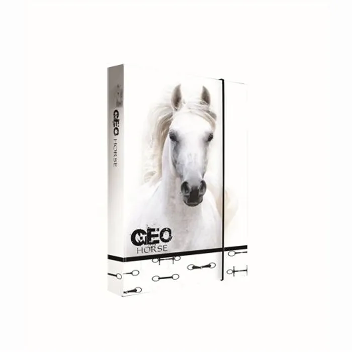 Hauptbild des Produkts Box na sešity A4 Jumbo GEO WILD Horse