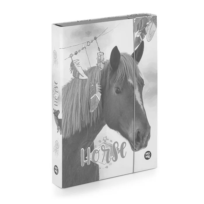 Hauptbild des Produkts Box na sešity A4 Jumbo kůň romantic