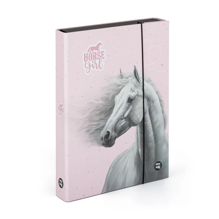 Hauptbild des Produkts Box na sešity A4 Jumbo kůň romantic