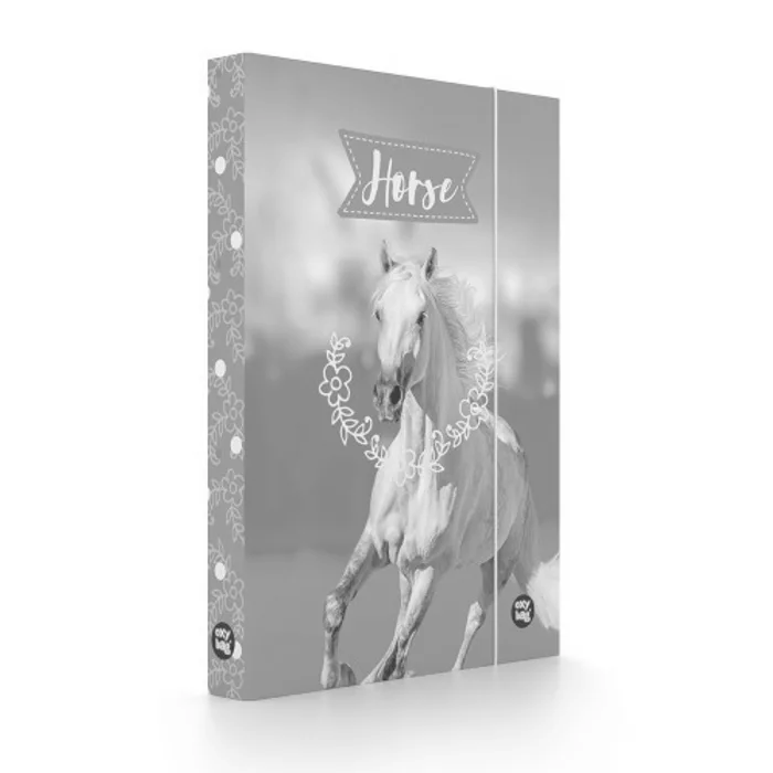 Hauptbild des Produkts Box na sešity A4 kůň