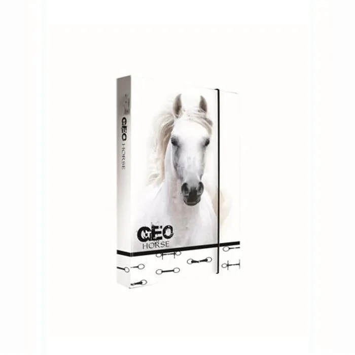 Hauptbild des Produkts Box na sešity A5 Jumbo GEO Wild Horse