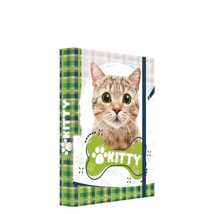 Hauptbild des Produkts Box na sešity A5 Jumbo Kitty