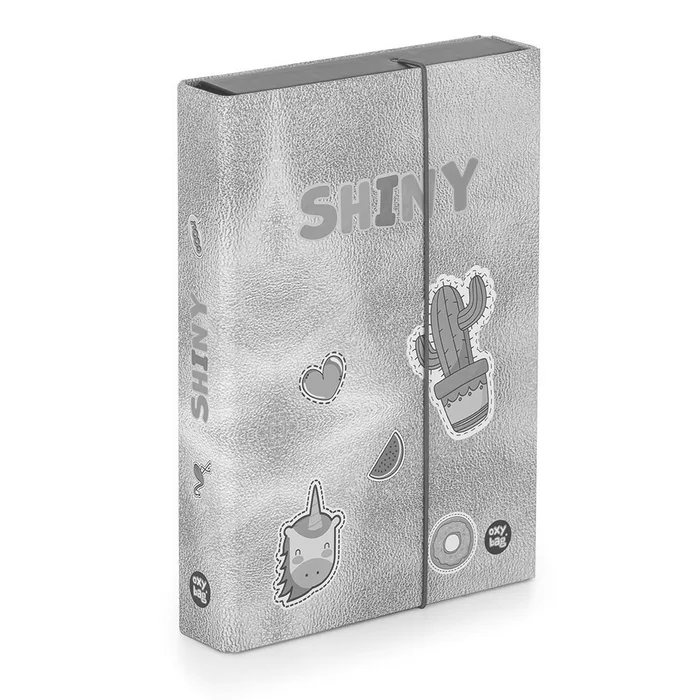 Hauptbild des Produkts Box na sešity A5 Jumbo OXY Style Mini Shiny