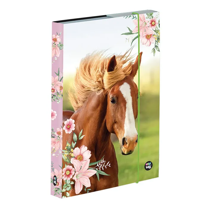 Hauptbild des Produkts Box na sešity A5 kůň