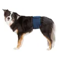 Bauchgurt für Polster für Rüden, dunkelblau S-M: Taille: 37-45 cm