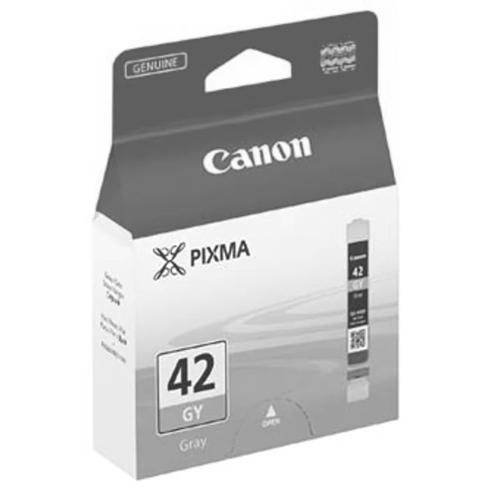 Hauptbild des Produkts Canon originální ink CLI-42GY, grey, 6390B001, Canon Pixma Pro-100