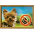 Weiteres Produktbild 3D-Erkennungsmarke, Yorkshire Terrier