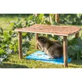 Kühlende Keramikmatte für Hamster, 20 x 15 cm, blau