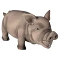 Grunzendes Schwein, Latex 23 cm