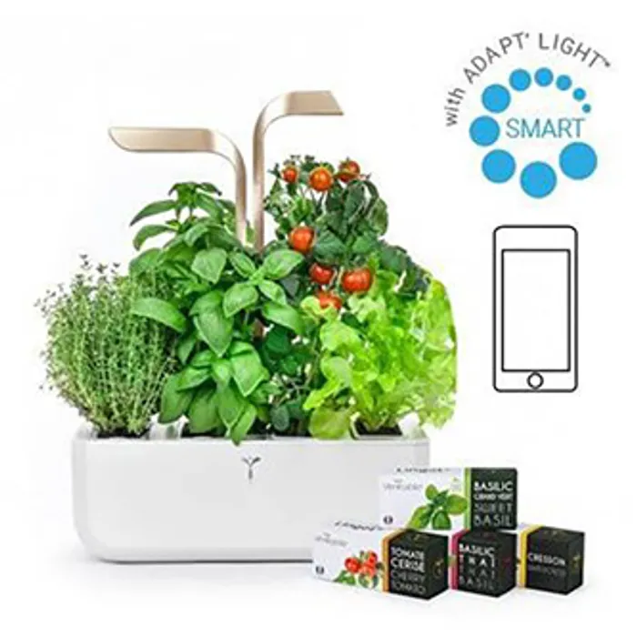 Hauptbild des Produkts Chytrý květináč Potager Connect, bílý, s náplní 4ks, Moonlight Gold, Véritable