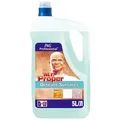 Bodenstaubsauger und Oberflächenreiniger "Delicate Surface", 5l, MR PROPER