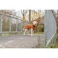 Weiteres Produktbild CityStyle pláštěnka DUBLIN, rezaváXS: 30cm, hruď: 43-62cm, krk: 34cm