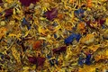 Weiteres Produktbild Wir geben Heu BLOSSOMING GARDEN - Kräutermischung 60 g