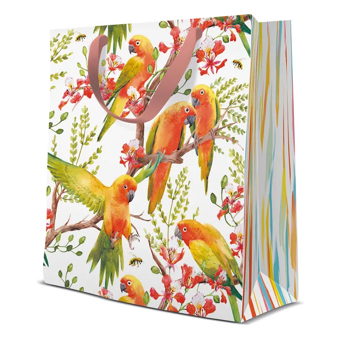 Hauptbild des Produkts Dárková taška střední - Exotic Birds 20x10x25 cm