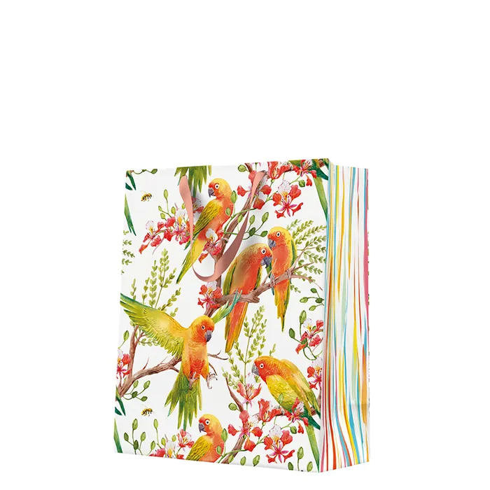 Hauptbild des Produkts Dárková taška velká - Exotic Birds 26,5x13x33,5 cm